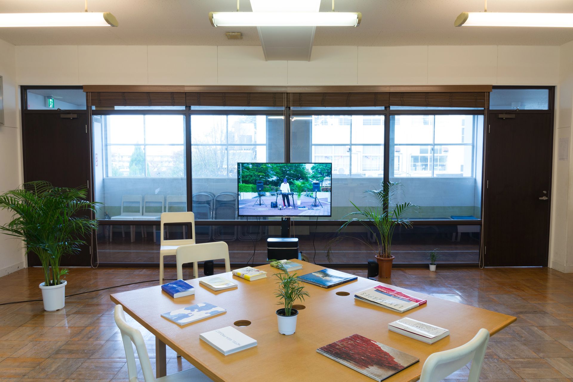 ニュー・フラット・フィールド - 4