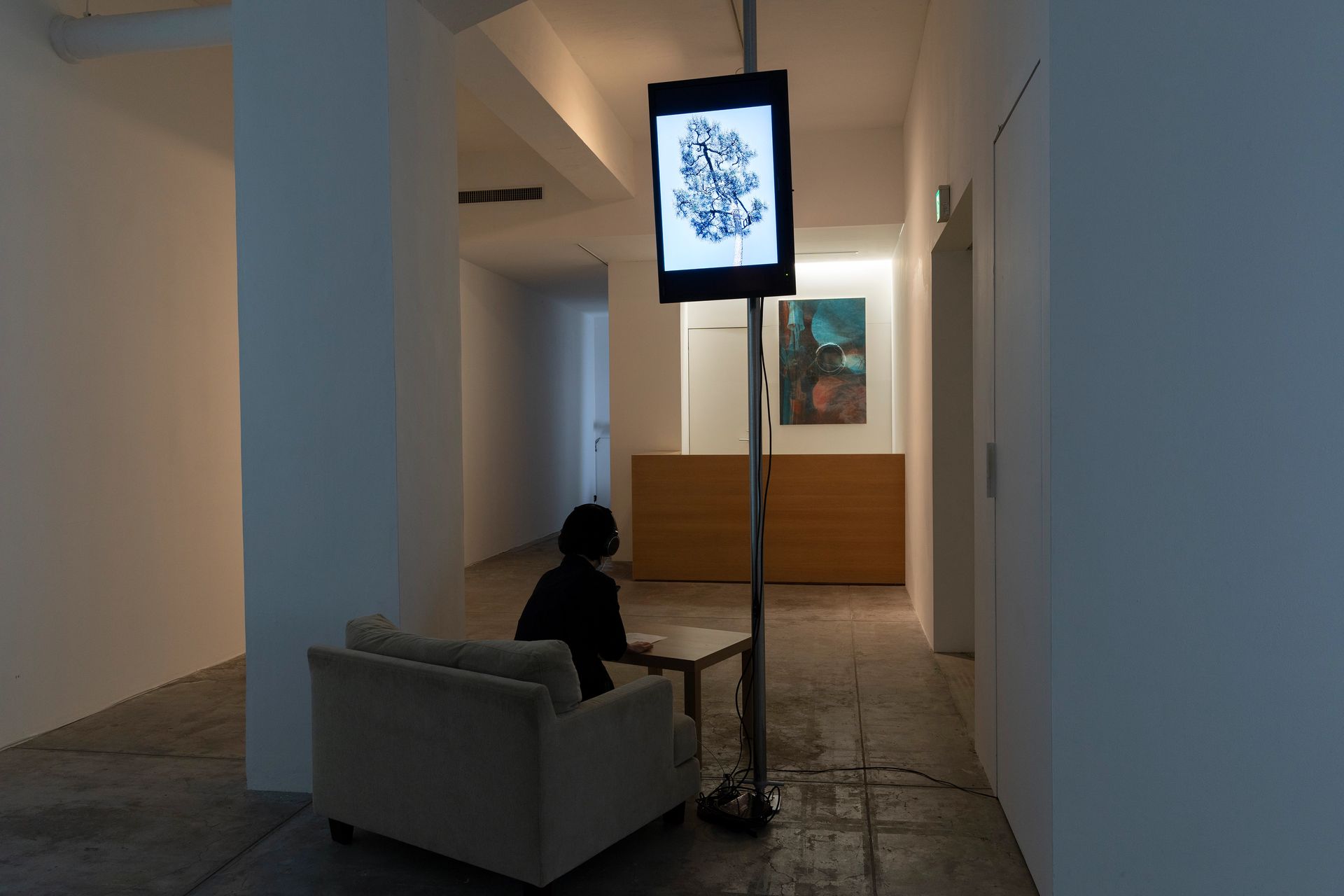  αM＋ vol. 2 わたしの穴 美術の穴  「地底人とミラーレス・ミラー」 　 パート 2:「ミラーレス・ミラー」 - 22