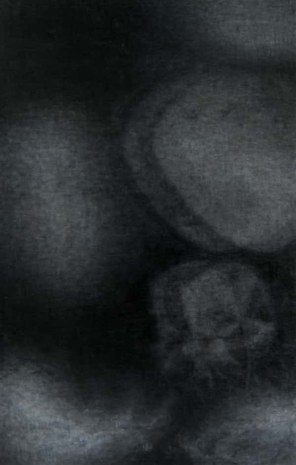 Sub Image (享楽庭園 2)