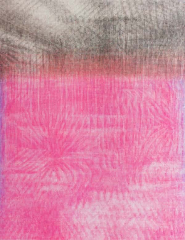 Sub Image（温室植物園）