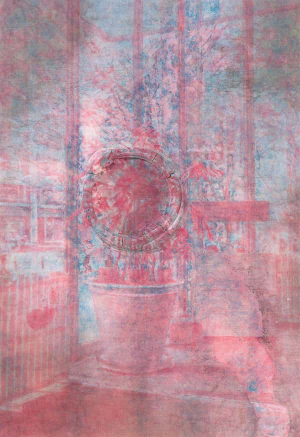  Sub Anaglyph (モンステラ）