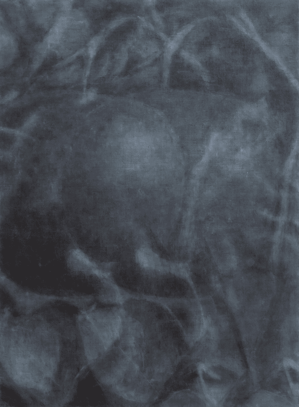 Sub Image（享楽植物園 6）