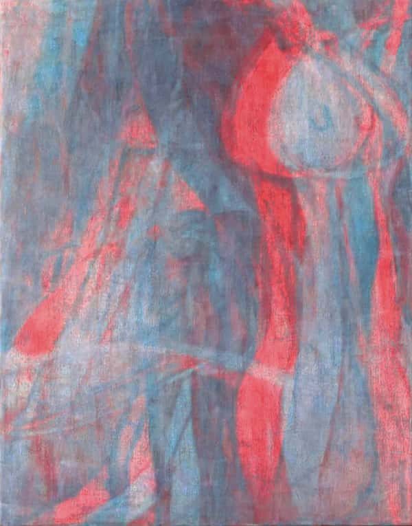 Sub Image（ウツボカズラ）