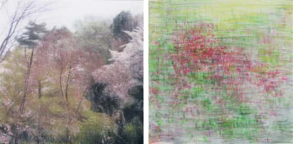 二連画  イメージ／信号：イメージ２（桜）  信号２（桜）