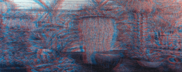 Sub Image（温室植物園）