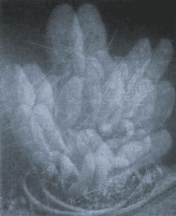 Sub Image（享楽植物園 5）