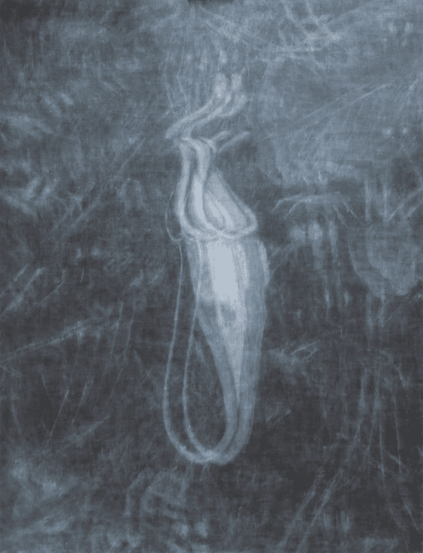 Sub Image（享楽植物園 4）