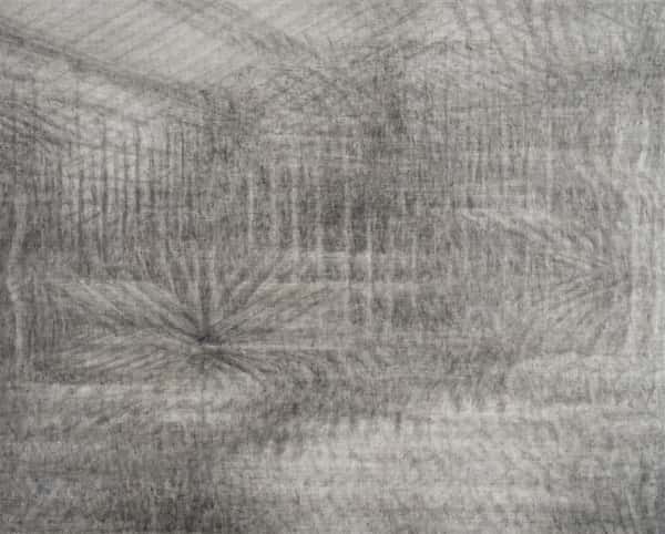 Untitled（温室植物園）