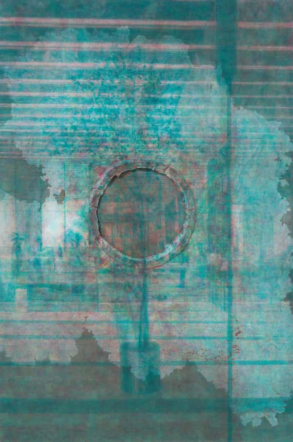   Sub Anaglyph (シェフレラ）