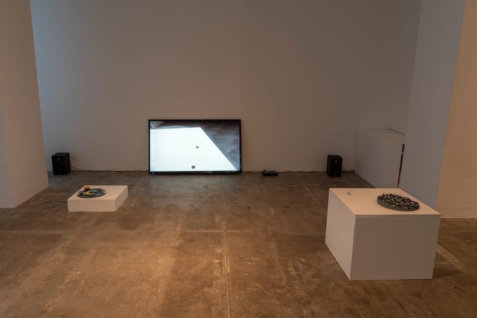  αM＋ vol. 2 わたしの穴 美術の穴  「地底人とミラーレス・ミラー」 　 パート 2:「ミラーレス・ミラー」 - 13