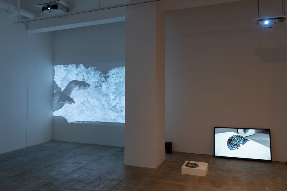  αM＋ vol. 2 わたしの穴 美術の穴  「地底人とミラーレス・ミラー」 　 パート 2:「ミラーレス・ミラー」 - 17