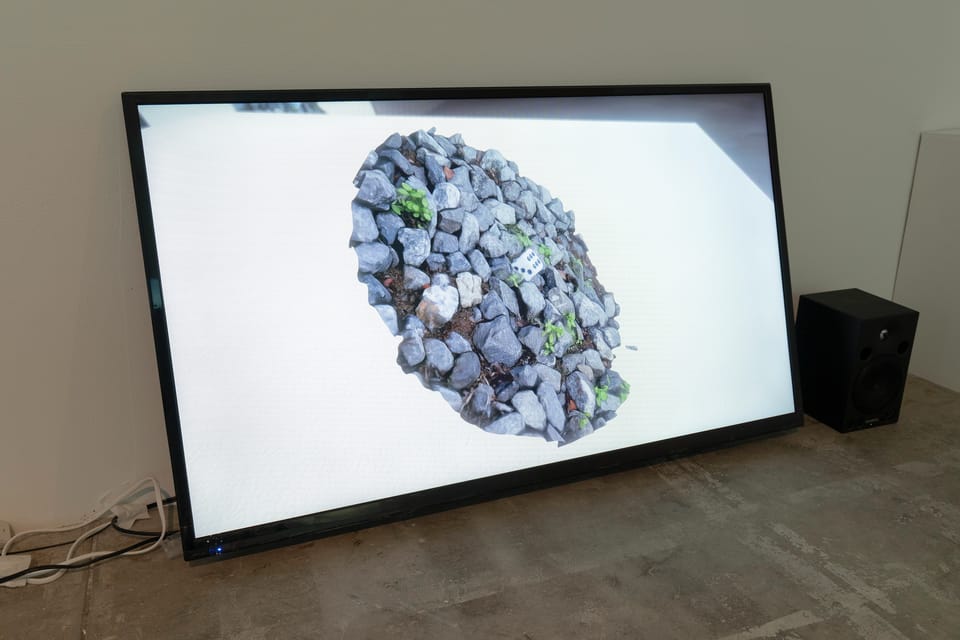  αM＋ vol. 2 わたしの穴 美術の穴  「地底人とミラーレス・ミラー」 　 パート 2:「ミラーレス・ミラー」 - 15